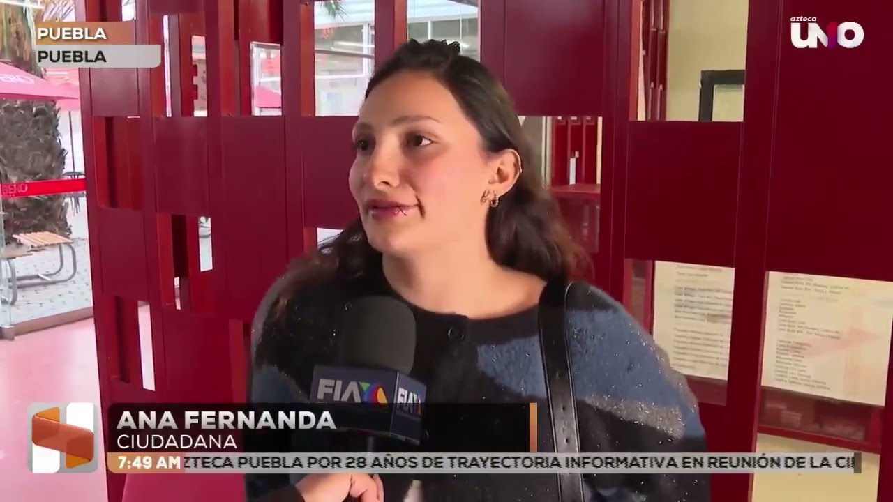 Tipos de colaboradores