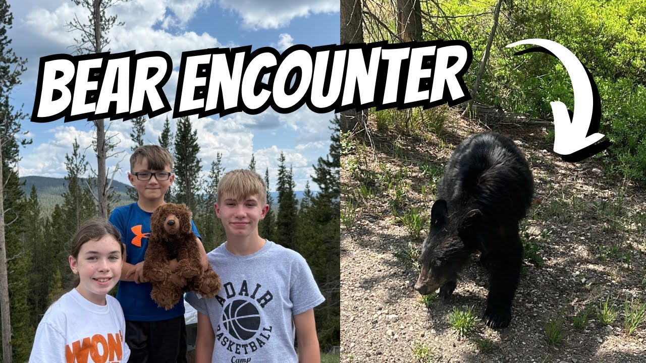 Our Wild Family Road Trip To The Tetons And Yellowstone!