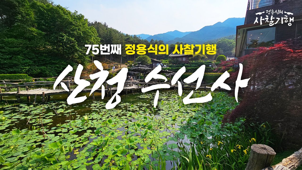 '사찰에 감성 더한' 연꽃들의 아름다운 향연 l 산청 수선사 l Temples of Korea