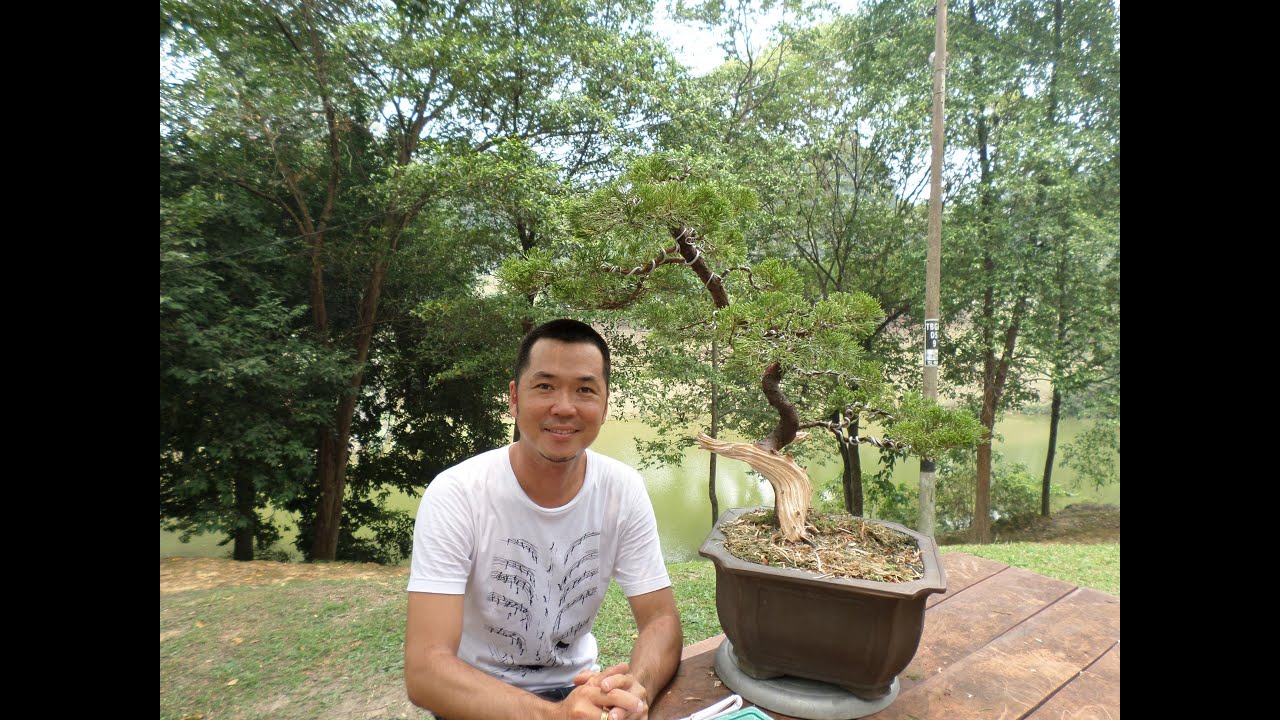 [相玉园盆景.UA BONSAI ART] - 示范如何提升盆景的年代艺术 Part 1 Bonsai Carving and Wiring demo #Malaysia Bonsai