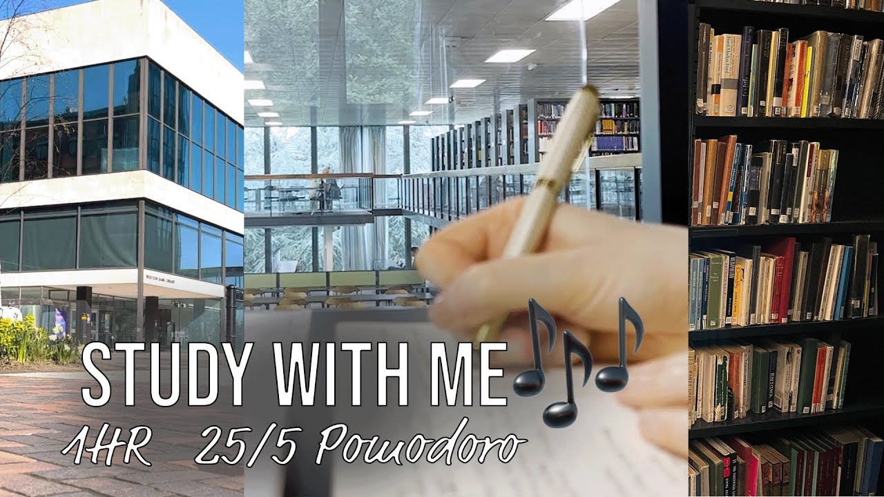 1-Hour Study With Me | University Library | Latin Lofi Beats | 'Dreaming of Summer'