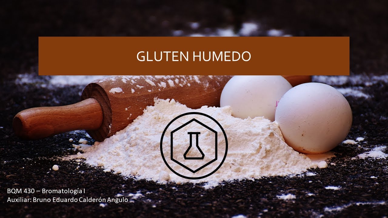 Determinación de Gluten Húmedo en Harina de Trigo