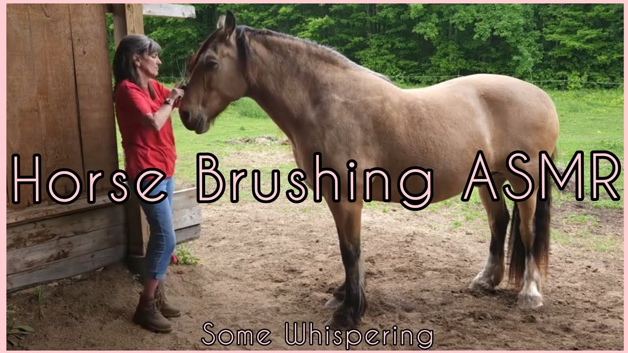 #ASMR | 🐎 Horse Brushing On A Windy Day | Ft. Simon | Occasional Whispers 