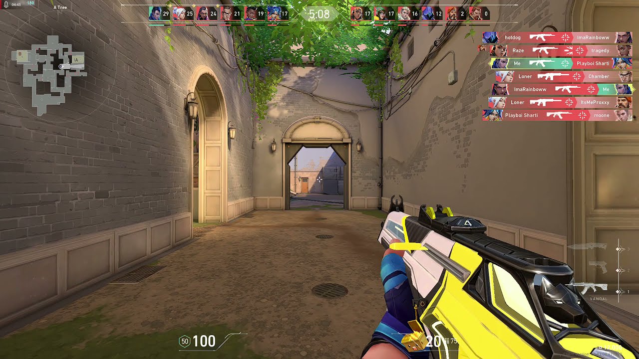 What the Best Aim in Gold Looks Like: