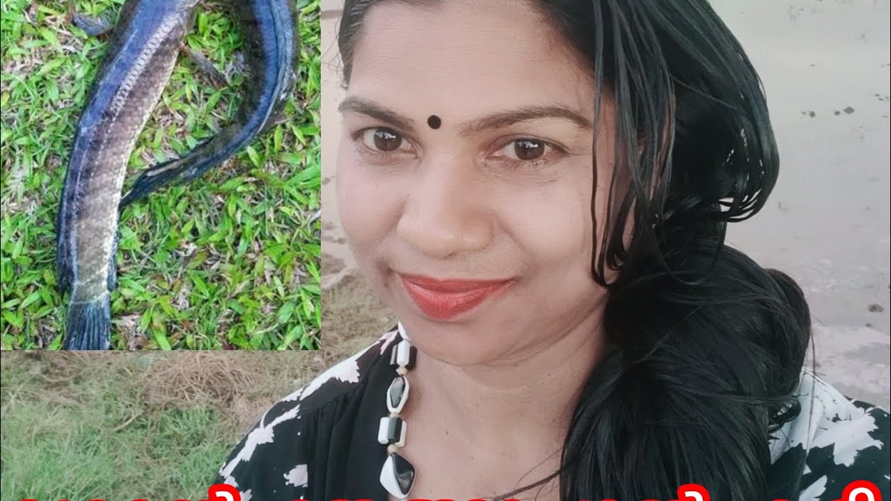വരാൽ കറി🐬  #cocnutmilk  #newvideo  #youtube