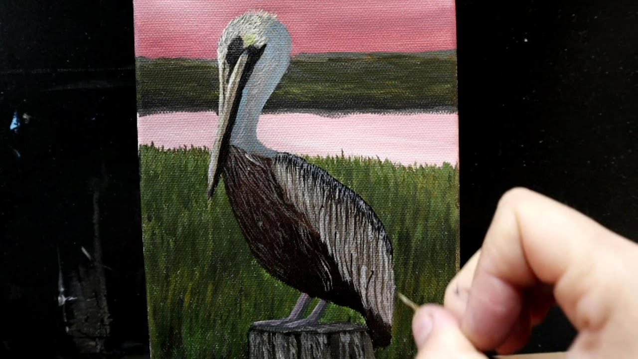 Marsh Pelican Painting Full Length Tutorial #art #painting #pelicans