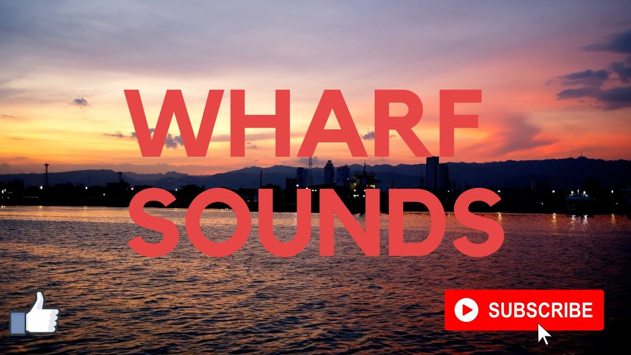 Relaxing sounds of the wharf. Seabirds, fog horn, barking sea lions.