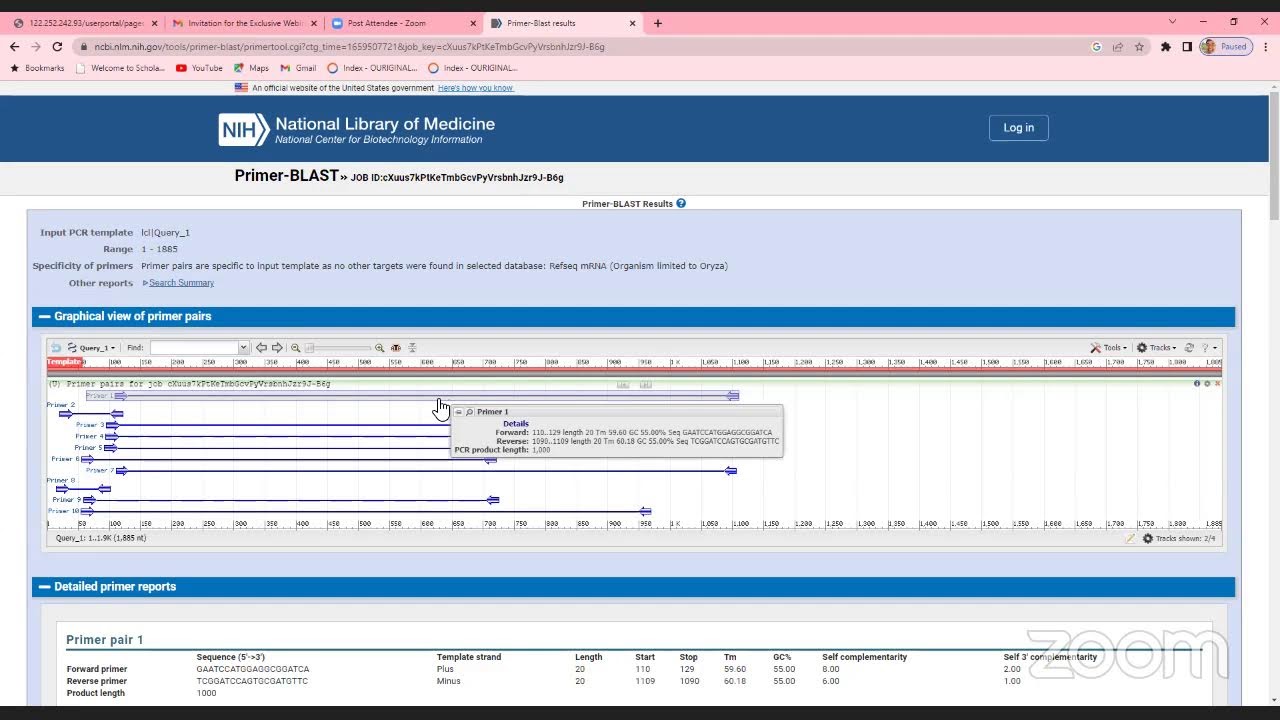 Designing PCR Primers using Bioinformatics Tools