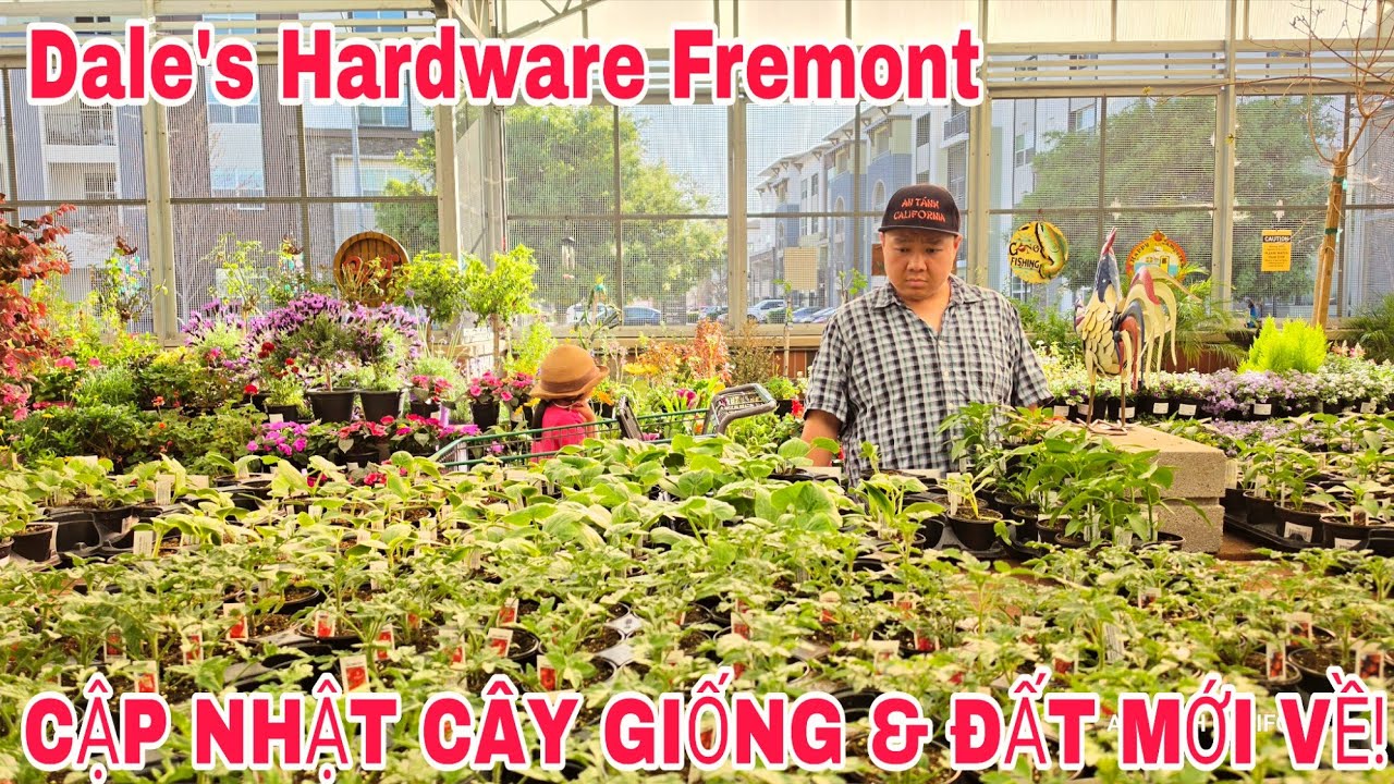 Что нового в магазине Dale's Hardware Fremont в марте? Информация о рассаде и подходящих типах по...