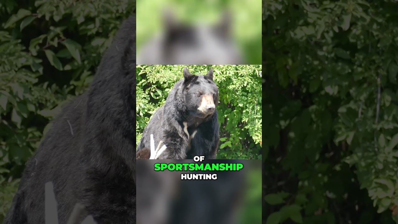 🎯🦌🏹Exploring the Impact of Hunting on Wildlife Conservation and Ethical Behavior