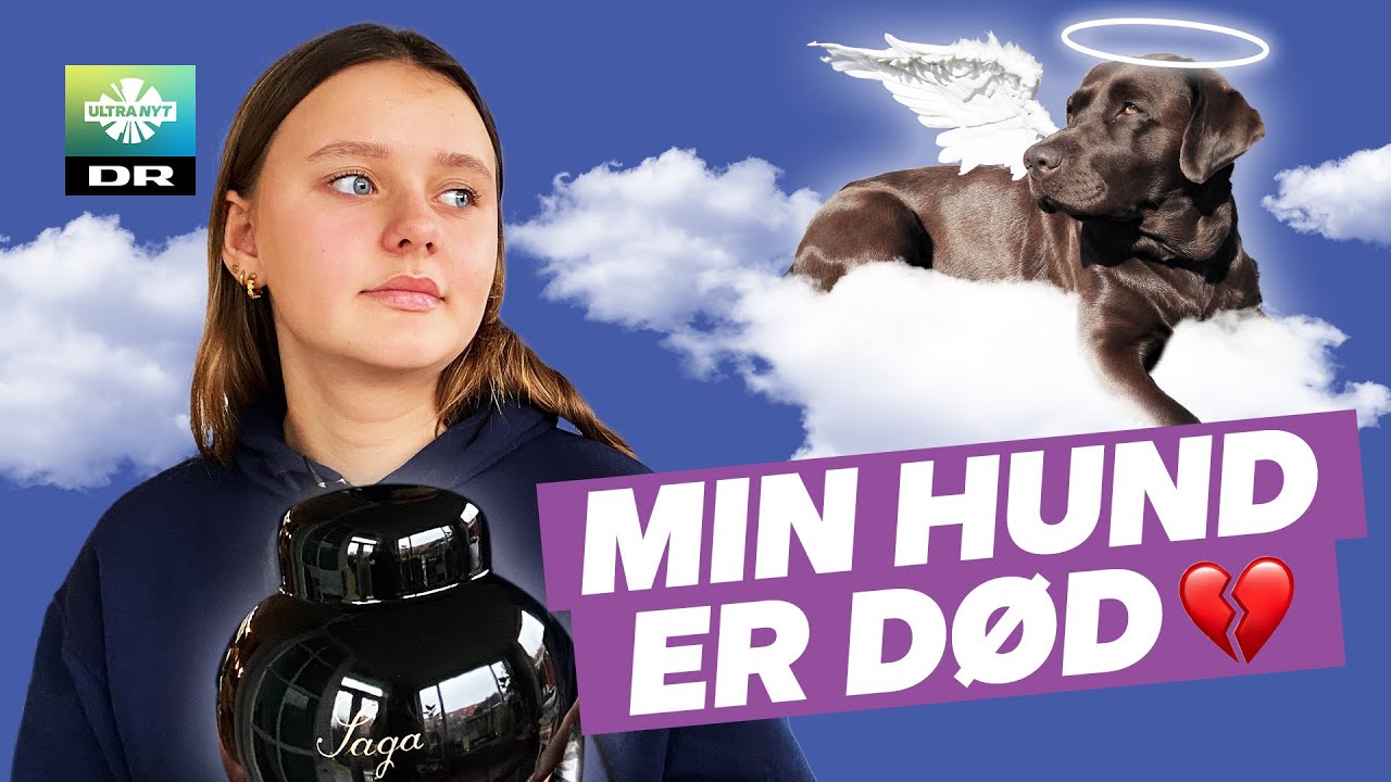 Smilla har mistet sin hund