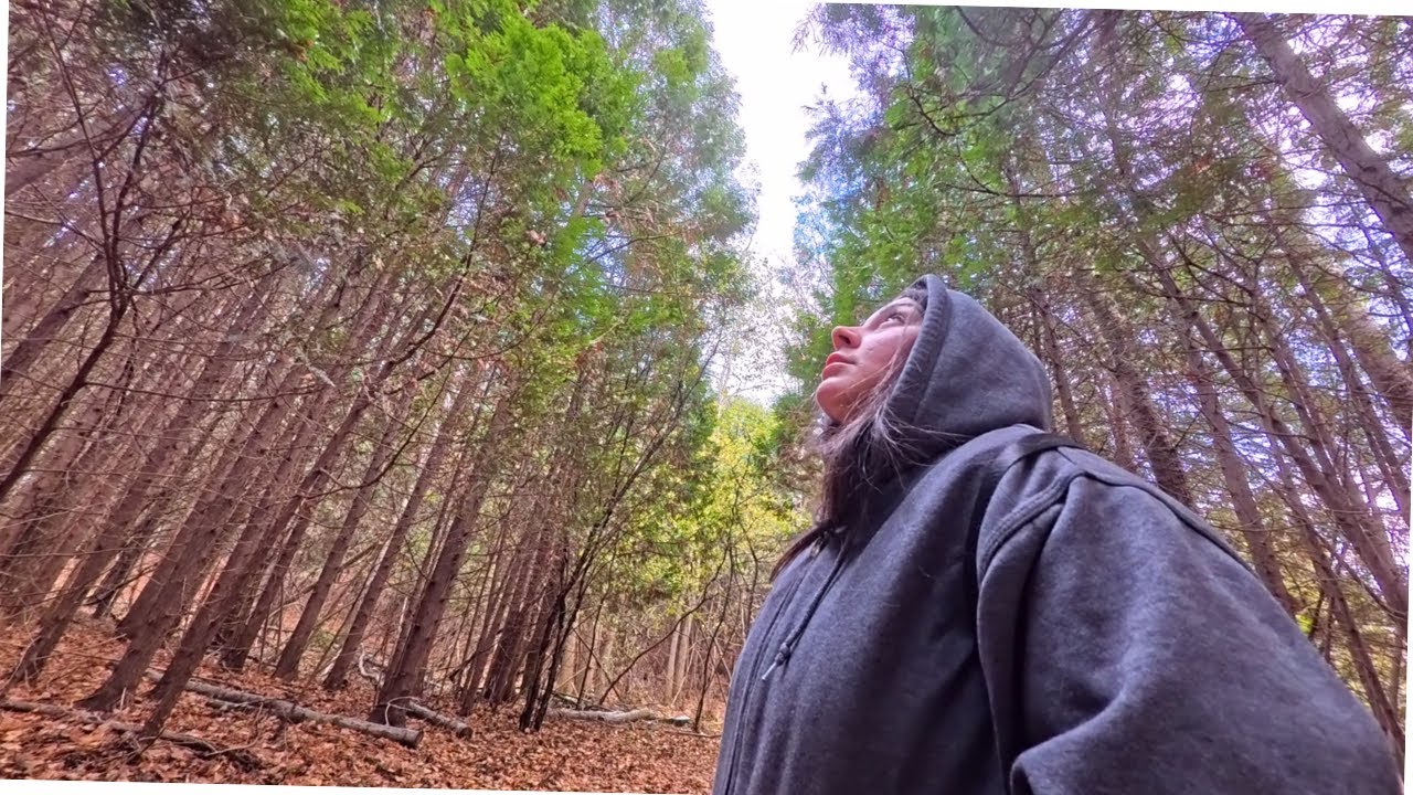 Transporting to a Magical Place | Eden Mills I Village + Forest