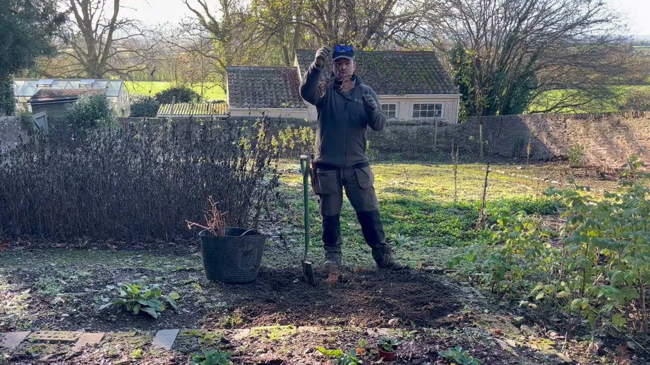 Bare Root Planting!