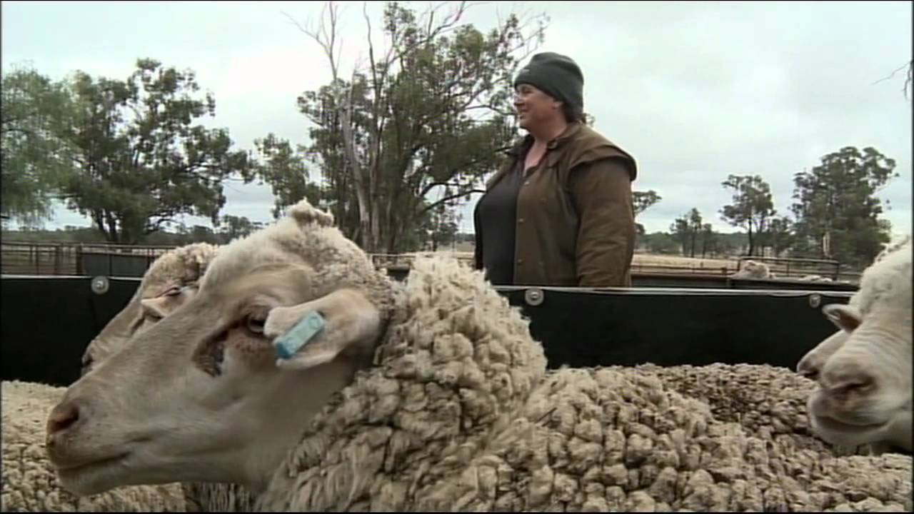 September Highlights on Australia Network