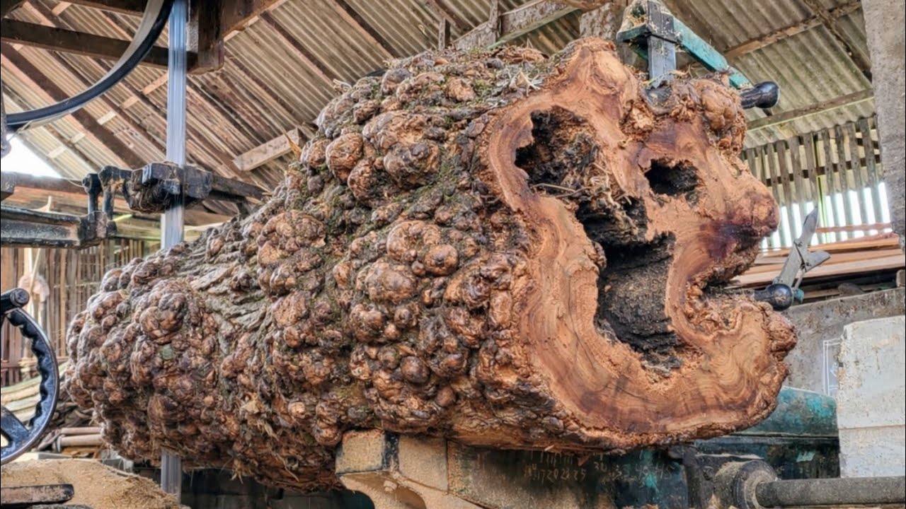 Extraordinary! sawing perforated teak wood that reveals its beauty