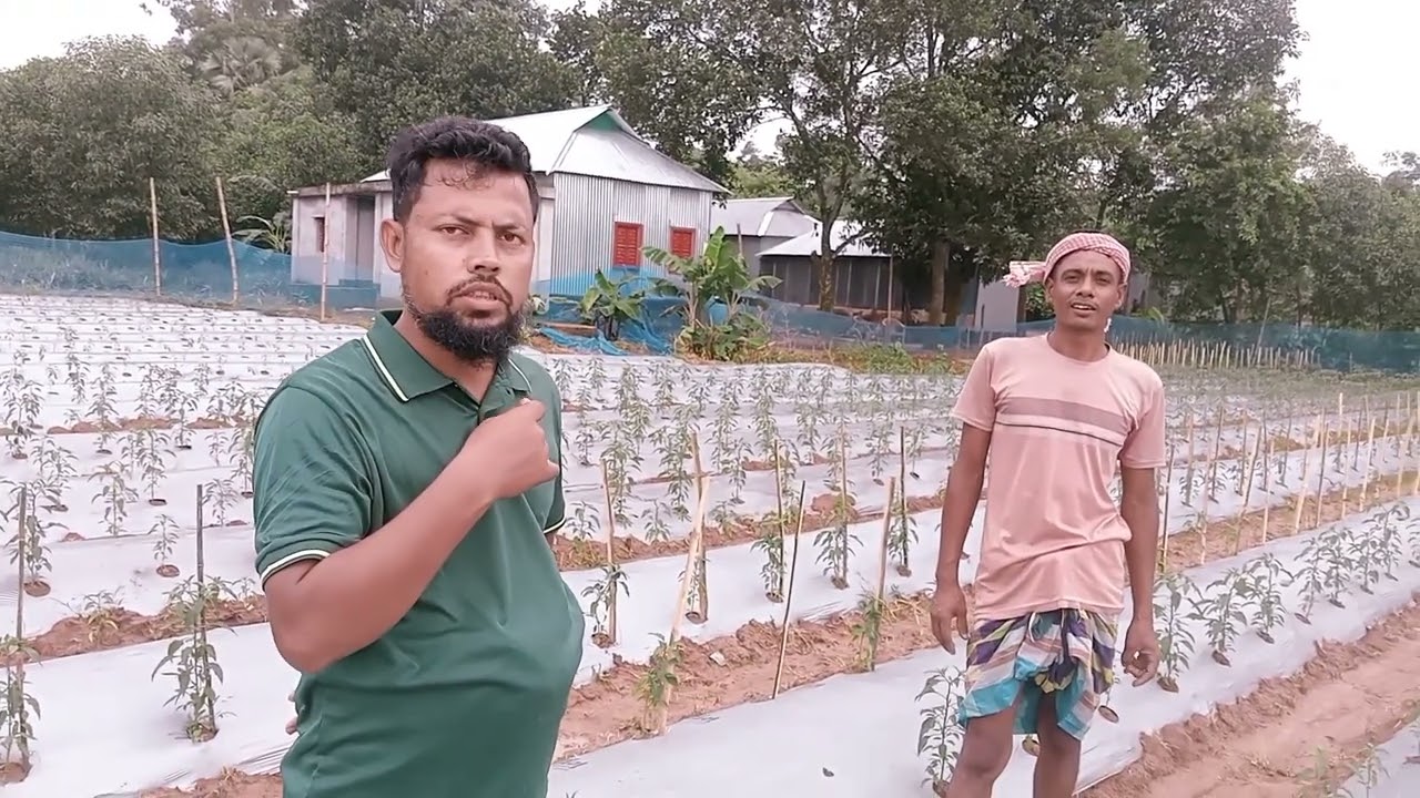 কৃষি একটা ভালবাসা ও স্বপ্নের জায়গা