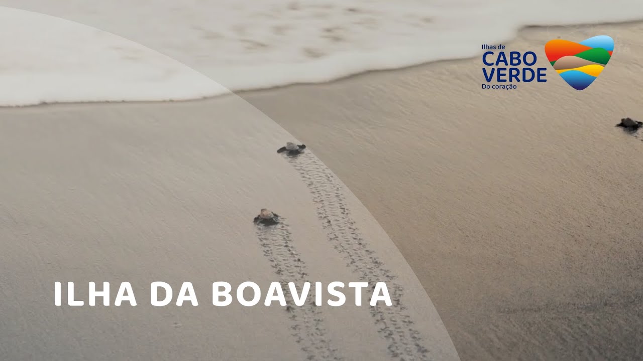Férias em Cabo Verde: Ilha da Boa Vista, onde o mar e o deserto se encontram