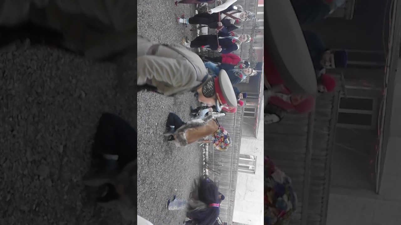 Cerbul de la hodora 2017