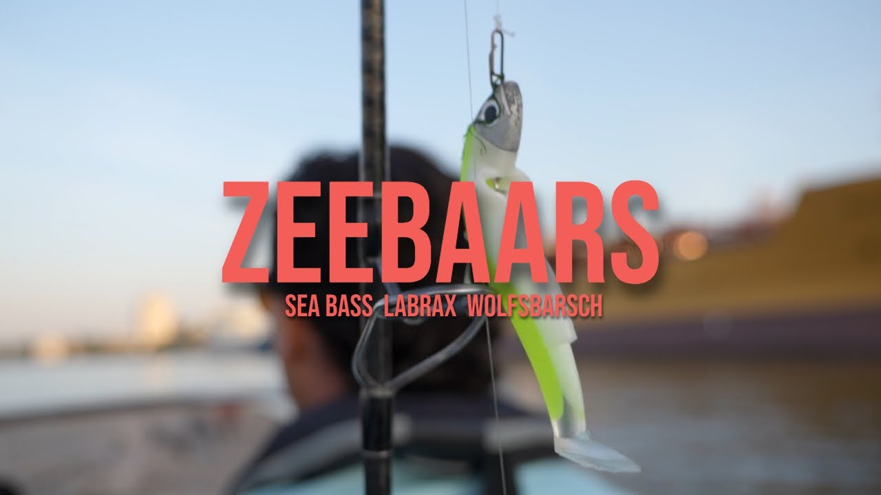 Zeebaars vissen Rotterdam - Water Wolves Fishing Store