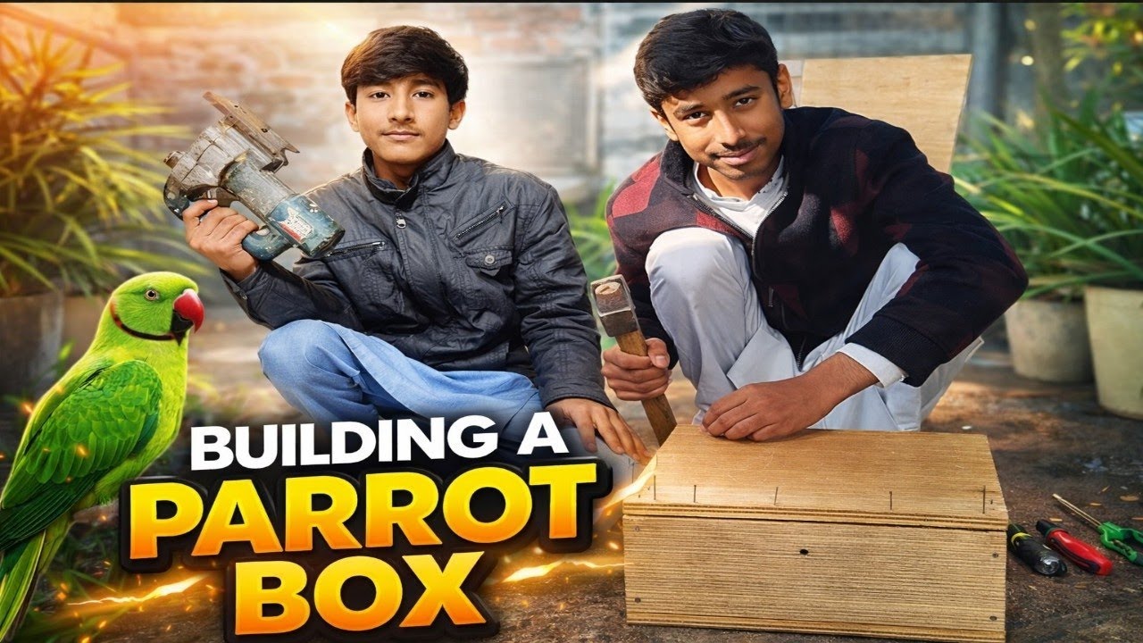 Parrot Box RepairllBirds Aviary FB Dehat