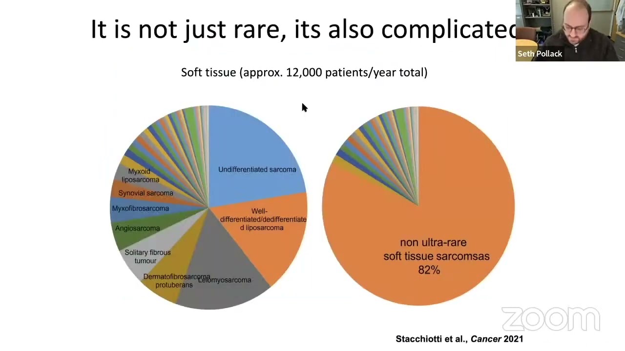 What Is the &ldquo;Normal&rdquo; Sarcoma Immune Microenvironment?