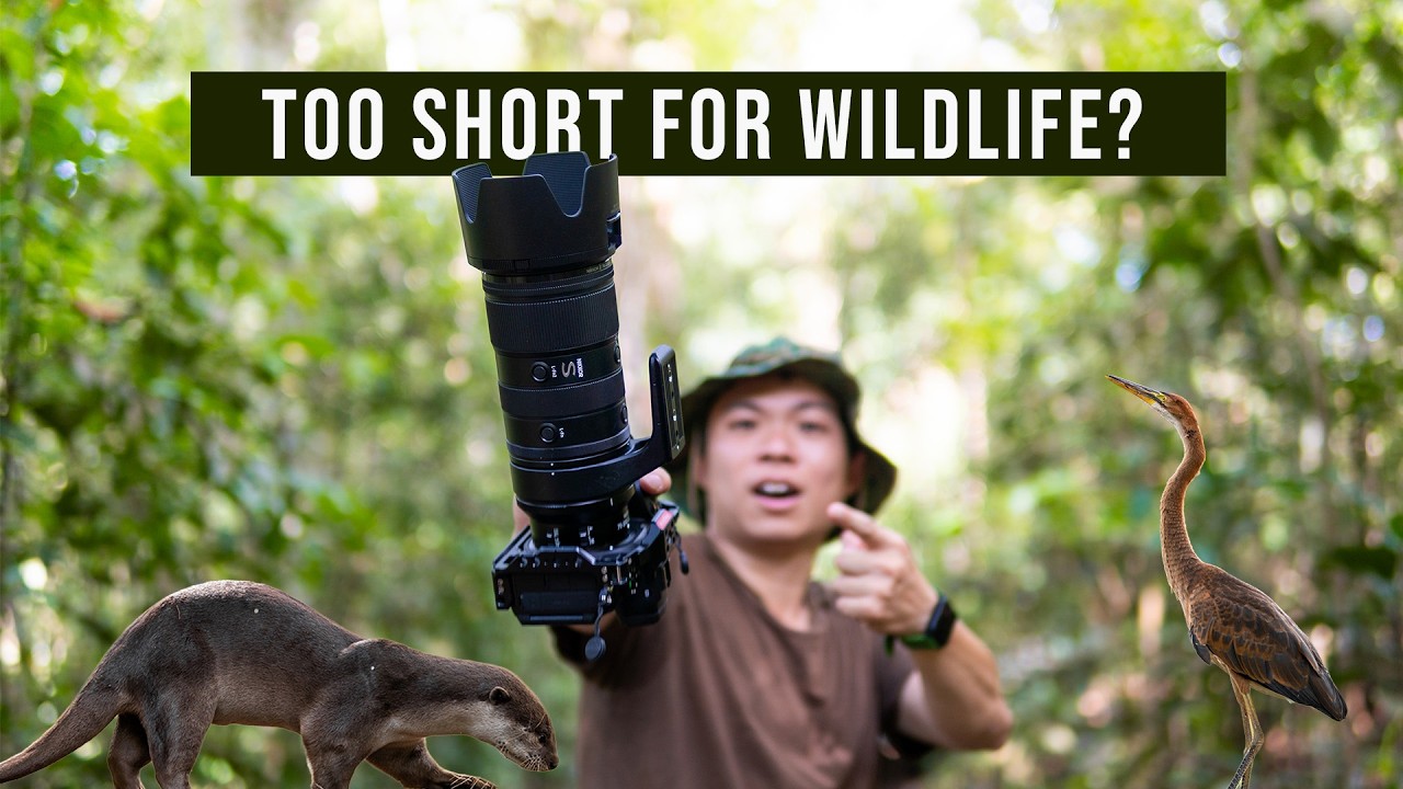 I tried Nikon’s 70-200mm F2.8 VR S II, and it blew my mind