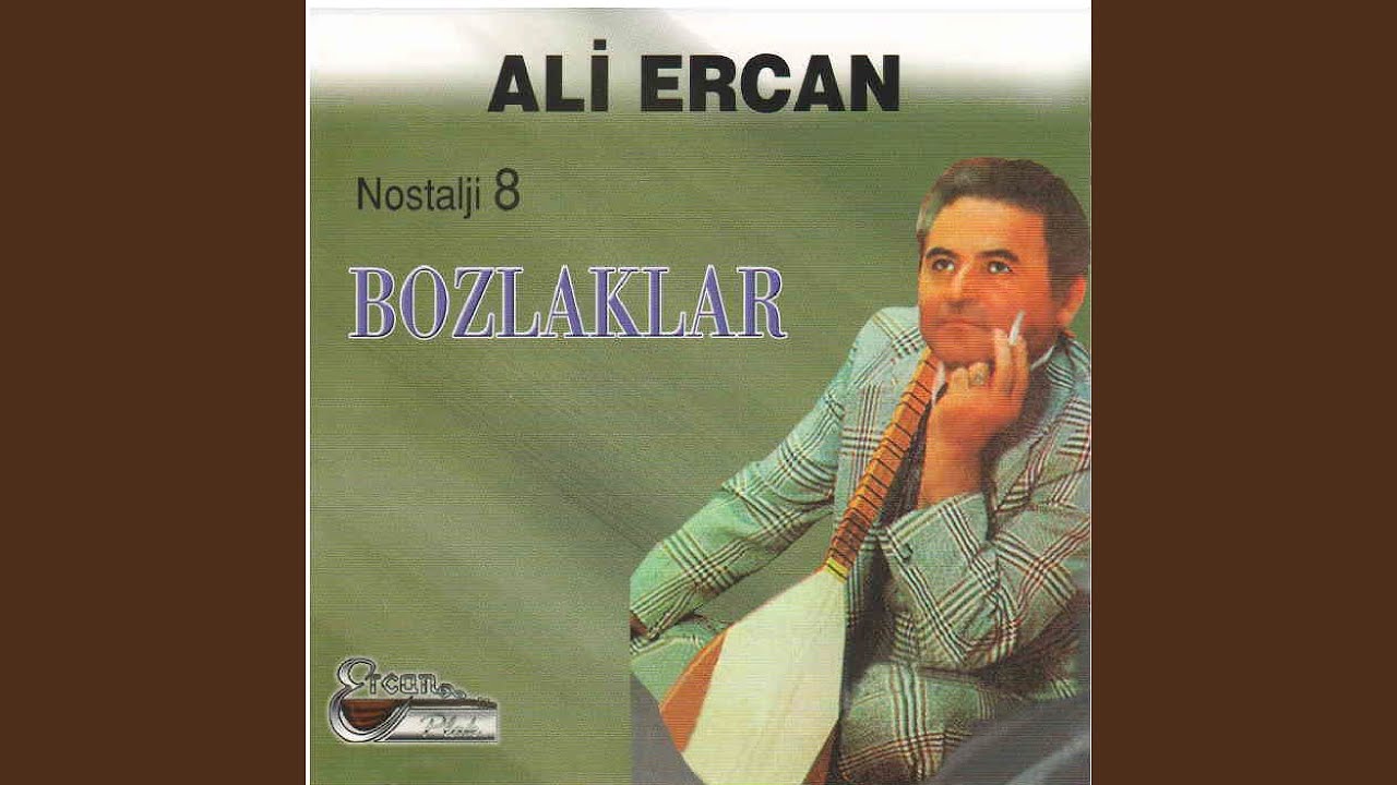 Su İçinde Oynaşıyor Balıklar