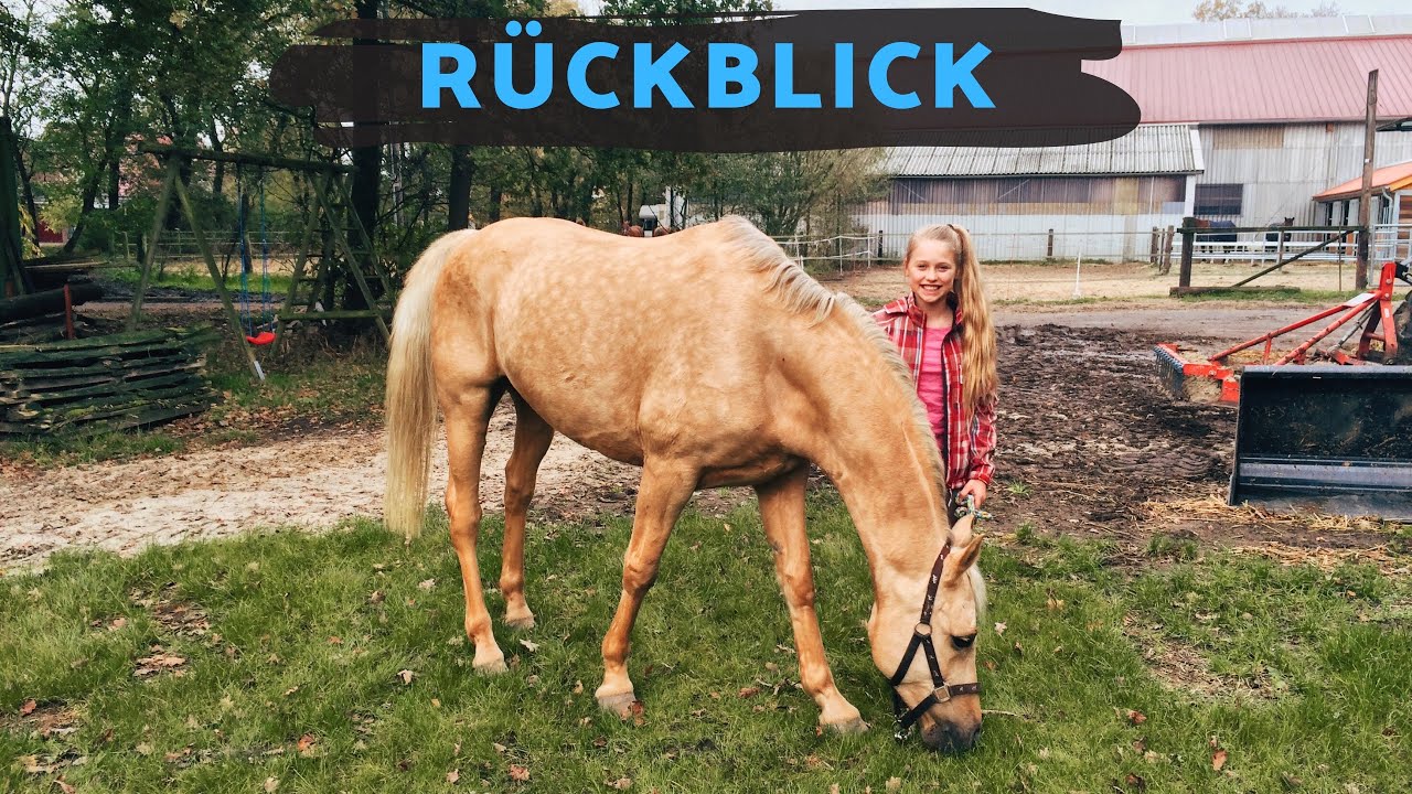 MEINE REITGESCHICHTE