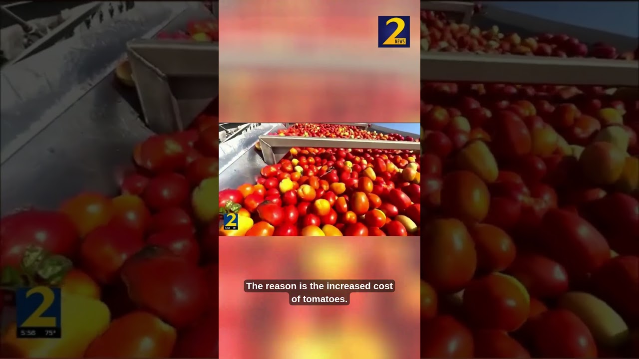 Rising cost of tomatoes is really impacting restaurants
