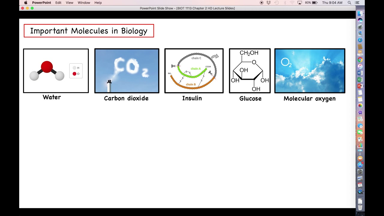 Intro to Biotechnology - Chapter 2 Lecture Part 1 -  Organisms and Their Components