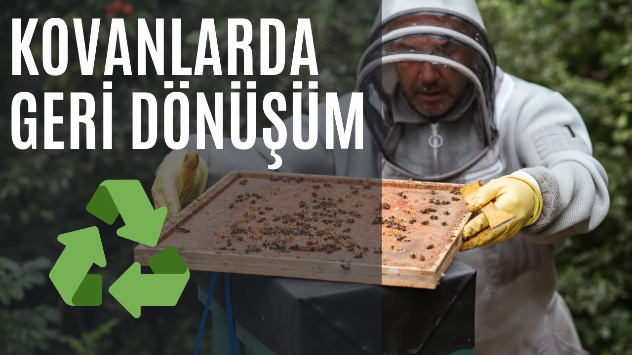 ESKİ KOVANLAR YENİLENİP TEKRAR EKONOMİYE KAZANDIRILIYOR | KÖYDE ARICILIK