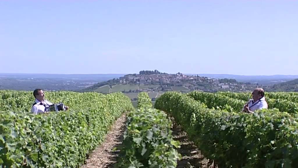 Vendanges en Sancerrois par l' Orchestre Dominique et St&eacute;phanie FLOQUET