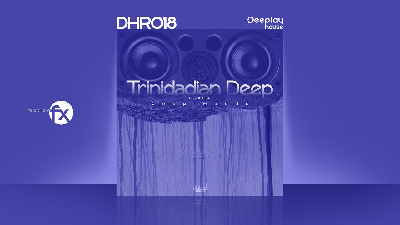Trinidadian Deep - Deep Moods (Linus R Remix) / DHR018