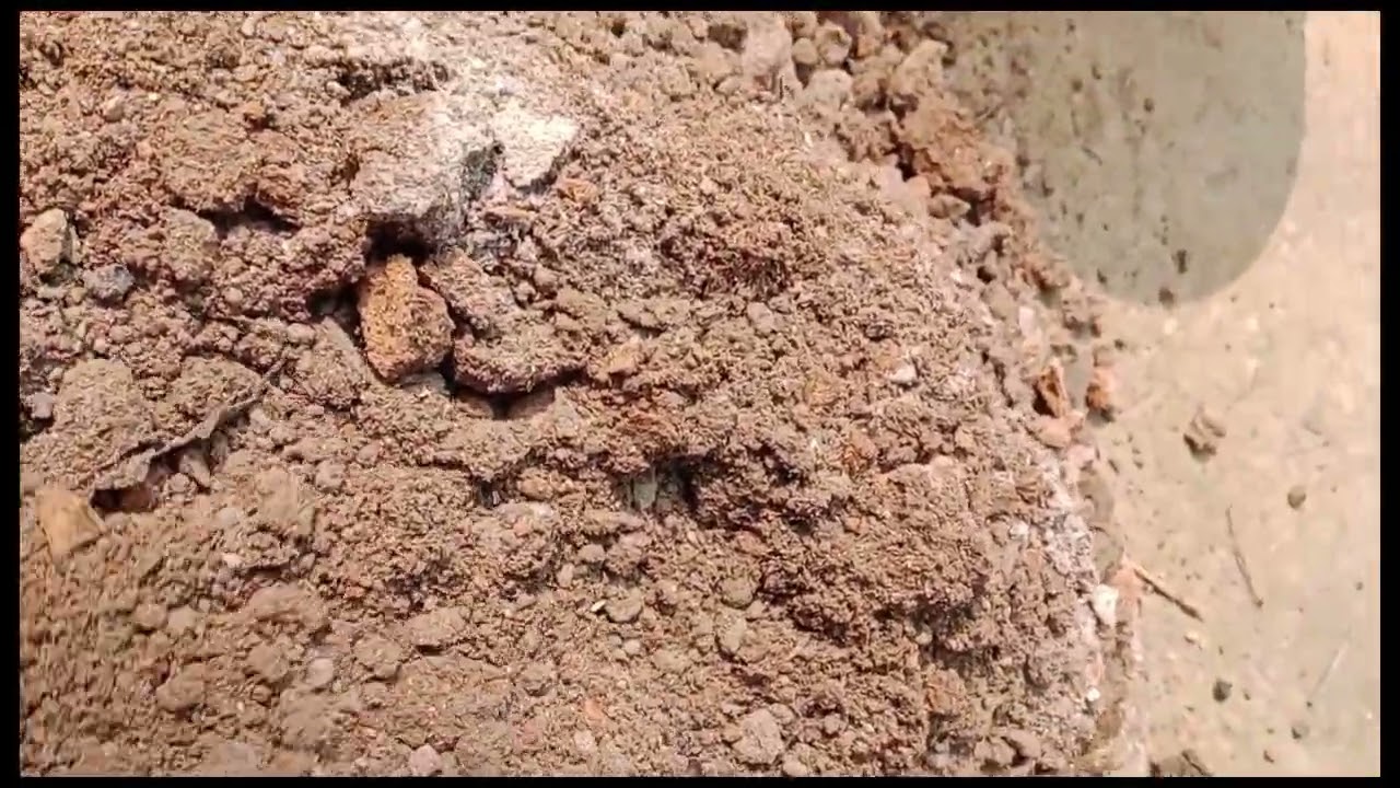 জৈব সার #জৈবসার #subscribe #youtubelongvideo #subscribemychannel #nature #viral #video 