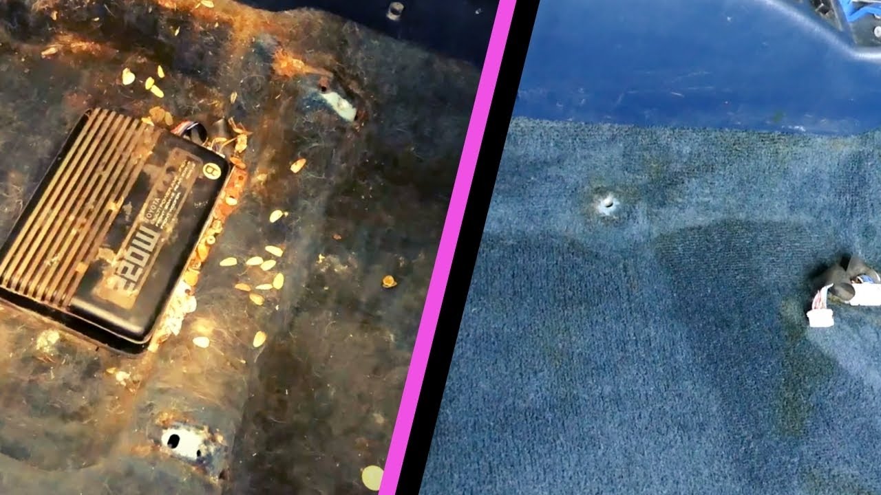 TRANSFORMATION - Deep Cleaning a Nasty Interior on a Car That Sat for Years! - Barn Find Celica GT-S