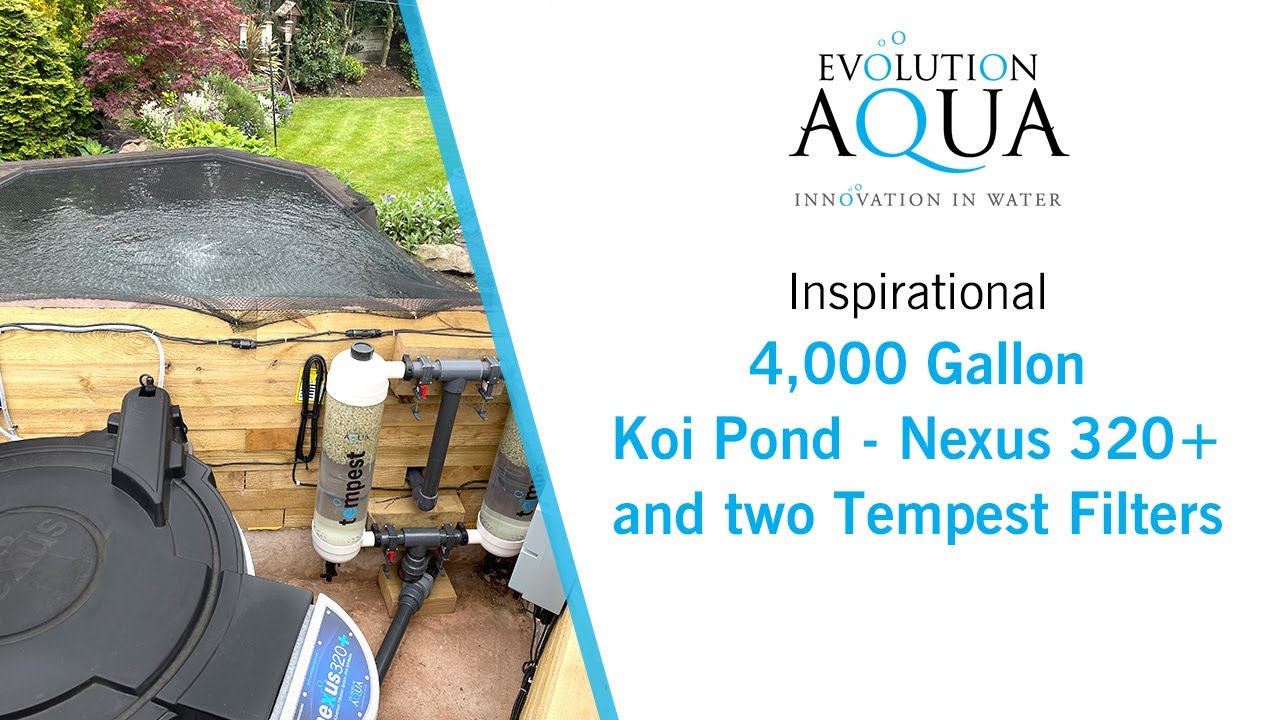 4,000 Gallon sleeper Koi pond with Evolution Aqua Nexus 320+ and 2x Tempest Filters