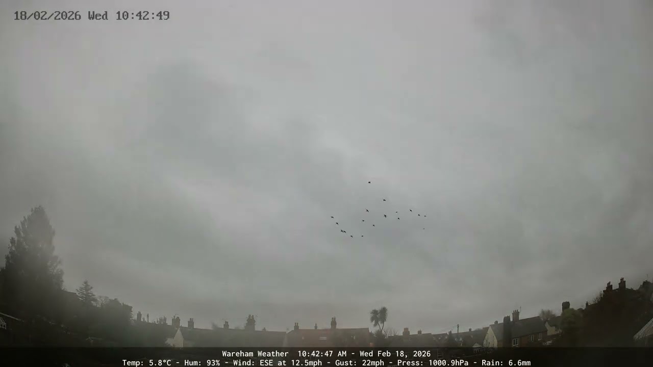 Wareham - Daily Time-lapse - 18/02/2026