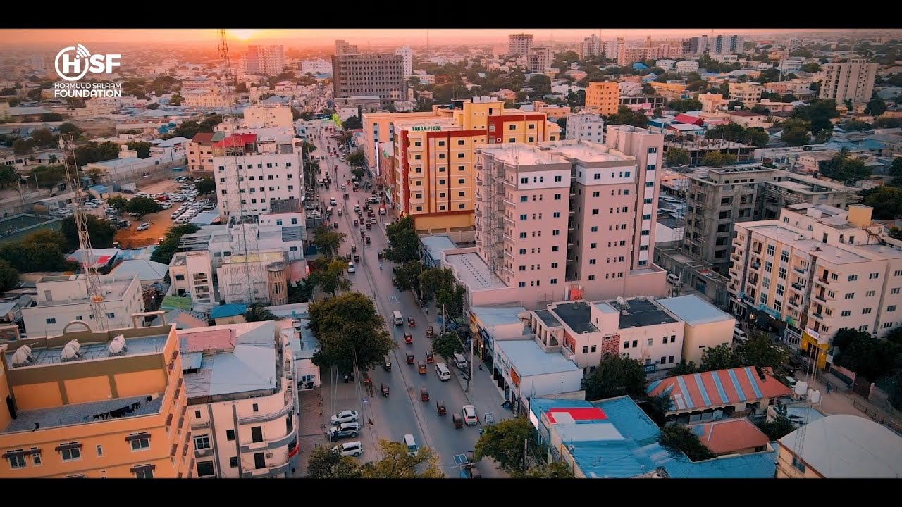 Sheekada Hormuud Telecom