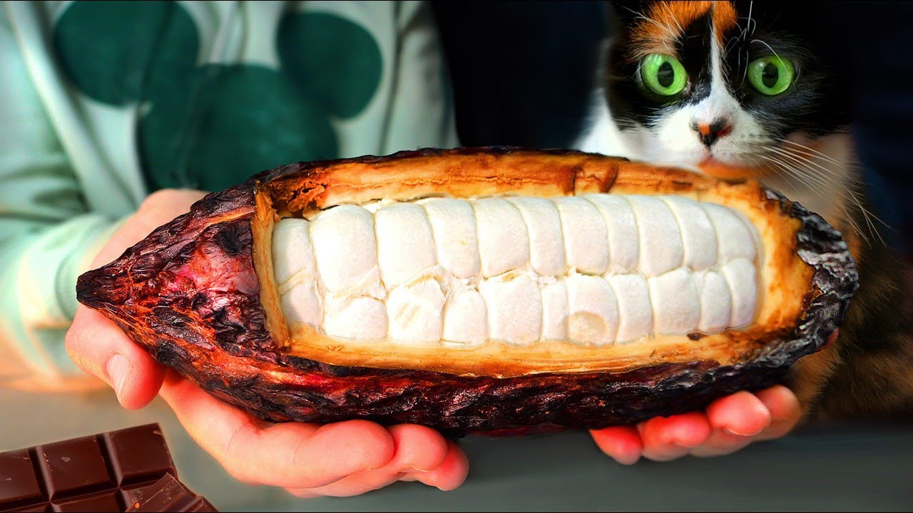 VYROBIL JSEM ČOKOLÁDU OD ZÁKLADU