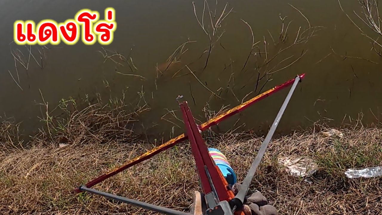 รางไม่แดง ไม่มีแรงขึ้นยาง