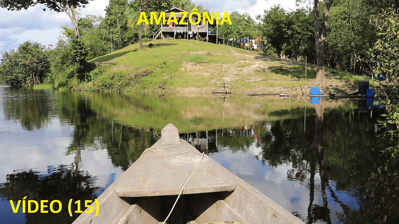 17 DIAS EM UMA COMUNIDADE RIBEIRINHA NO LAGO AMANÃ - AMAZONAS. VÍDEO  ( 15 )