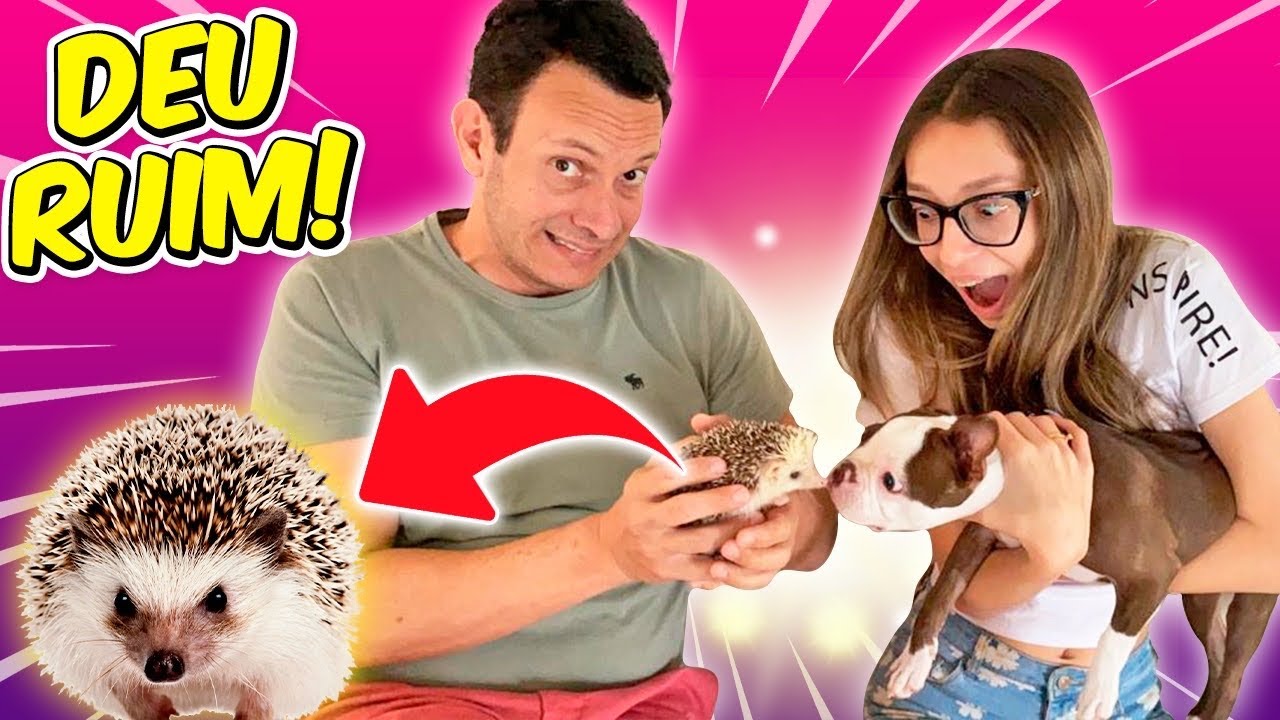 PRIMEIRO ENCONTRO DA NOSSA CACHORRINHA ZOE COM NOSSO HEDGEHOG SPIKE - ROTINA PET