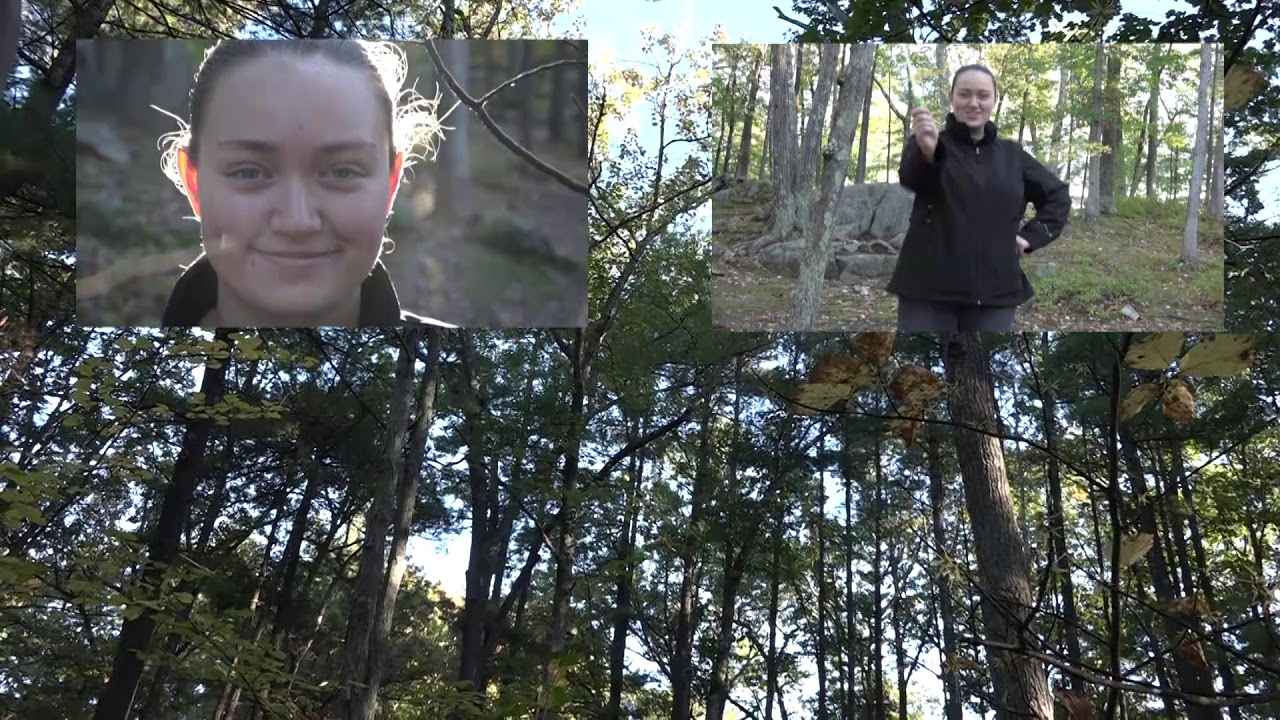 Anna Carroll   Montage