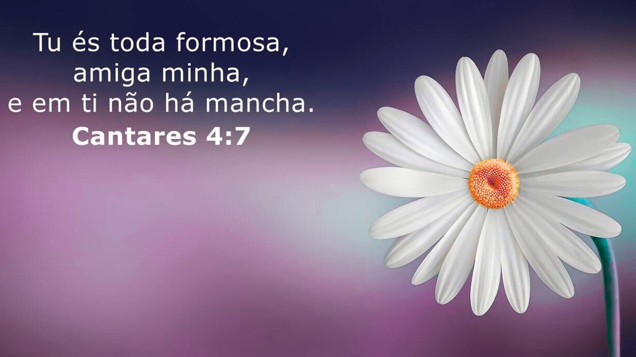 Leitura da Bíblia de Gênesis a Apocalipse - dia 260 (Cantares 3-5 e Filipenses 2.19 - 3.11)
