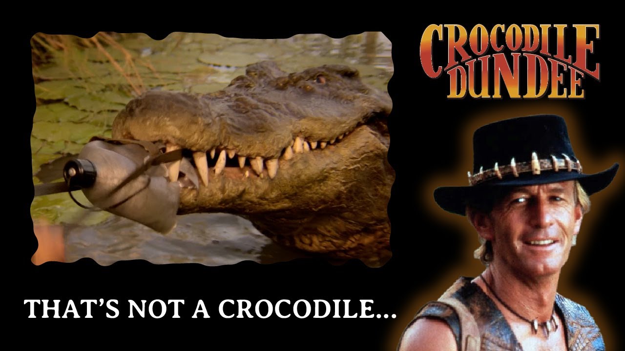 That's not a crocodile... Behind the scenes, Crocodile Dundee, Linda and the Croc