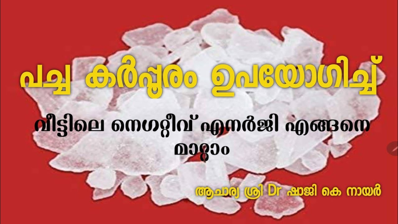 പച്ച കർപ്പൂരം ഉപയോഗിച്ച് വീട്ടിലെ നെഗറ്റീവ് എനർജി എങ്ങനെ മാറ്റാം;  വേപ്പ് വിട്ടിൽ നടാമോ?