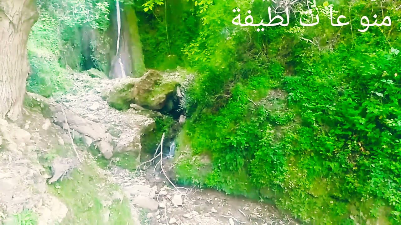 عشاق طبيعة بني اقليم الحسيمة🇲🇦🇲🇦❤️❤️