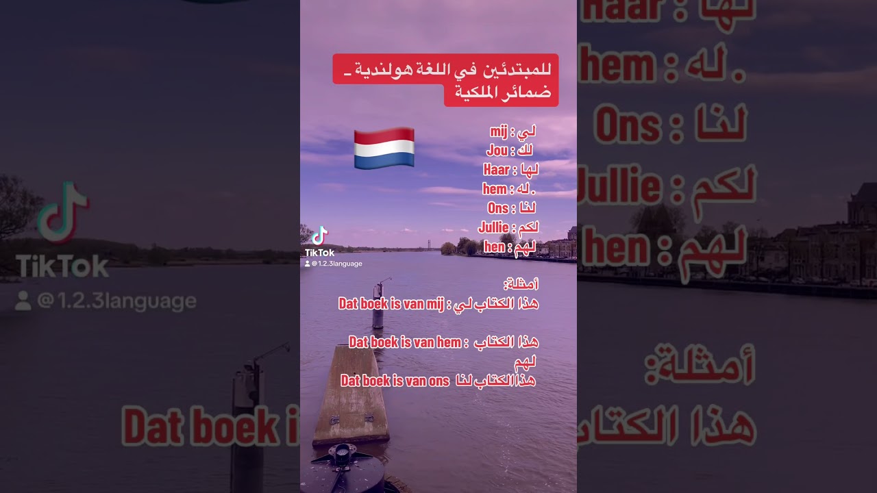 تعلم اللغة هولندية للمبتدئين : ضمائر الملكية