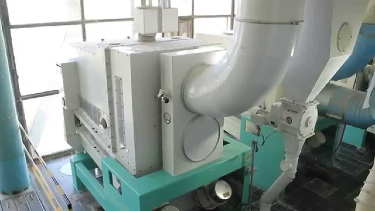 Molino fábrica sémola pastas Carozzi