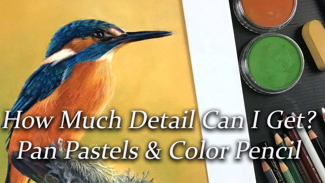 Drawing a Kingfisher with Pan Pastels and Color Pencil